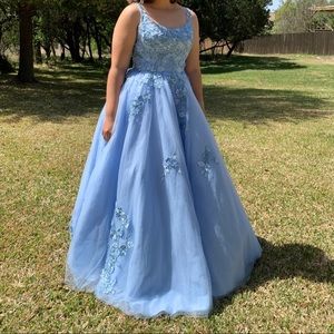 Cinderella Ball Gown/Prom Dress